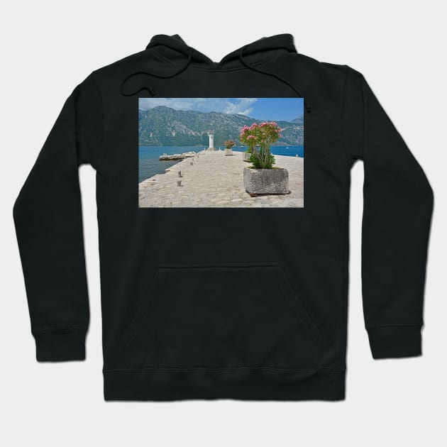 Our Lady of the Rock Hoodie by jojobob